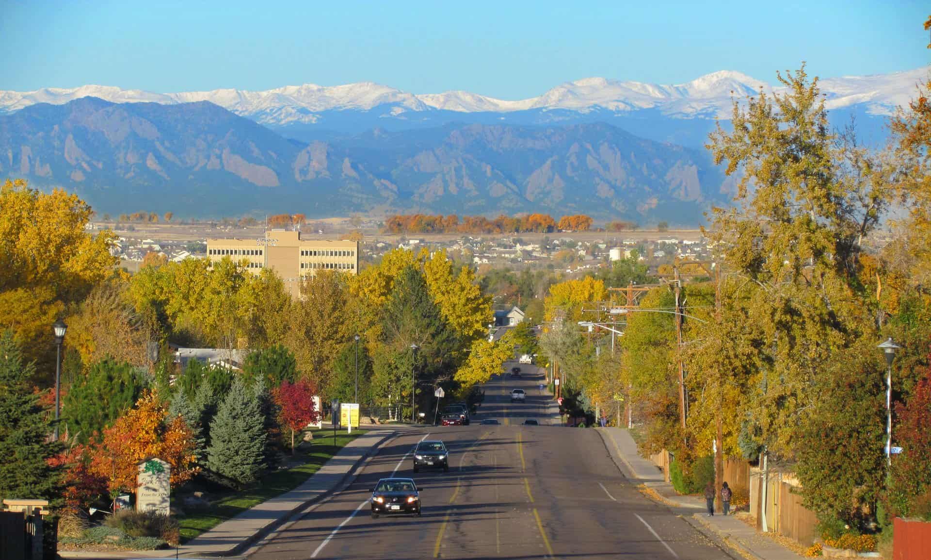 Brighton Nursery Arbor Valley Nursery